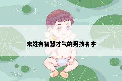 宋姓有智慧才气的男孩名字